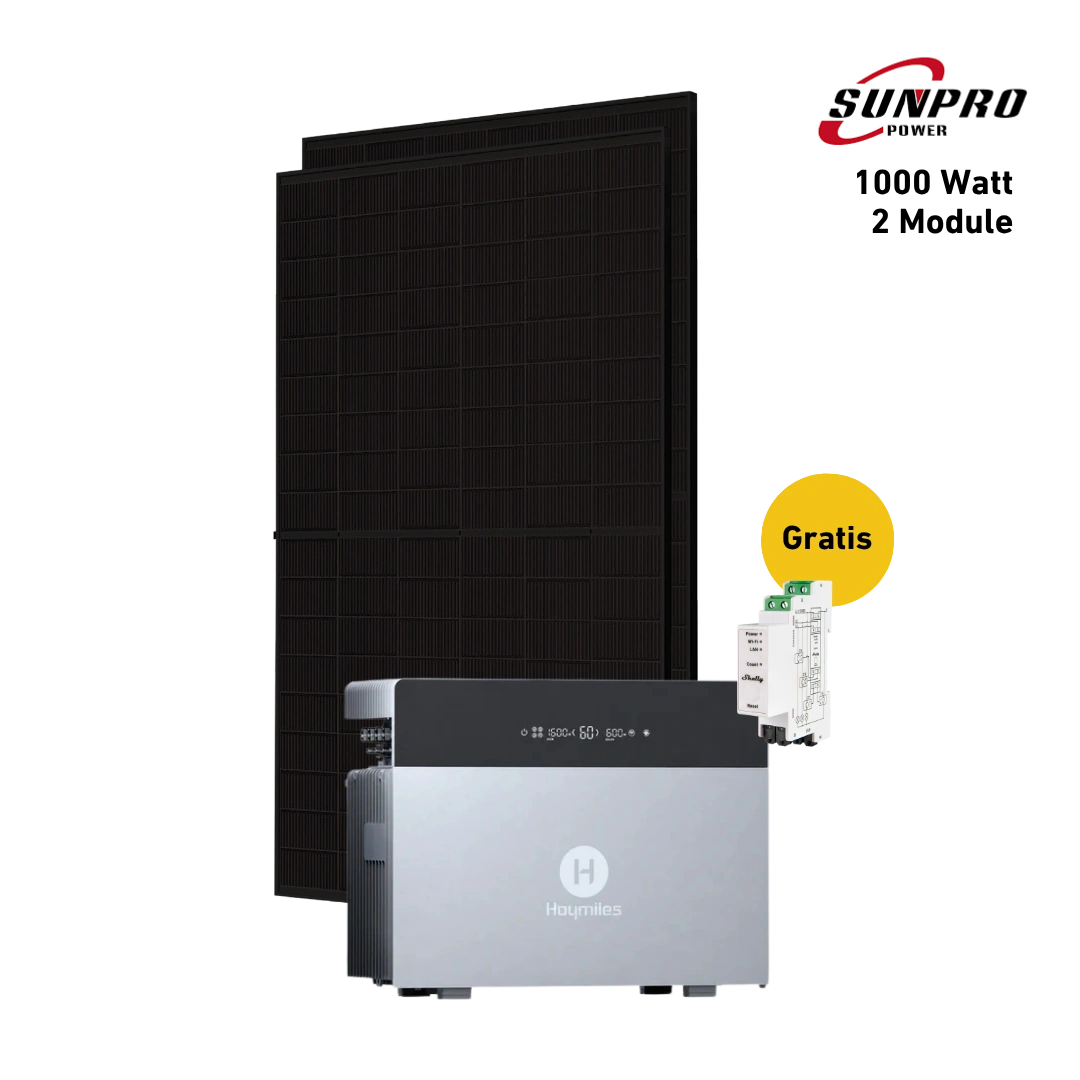 Max 1000 bifazial Pro (mit Hoymiles HiBattery 4020 X)