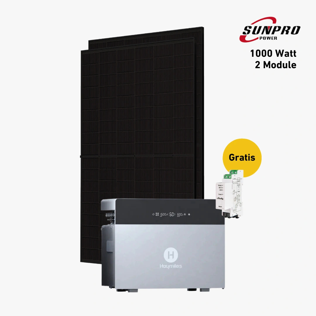 Max 1000 bifazial Pro (mit Hoymiles HiBattery 4020 X)