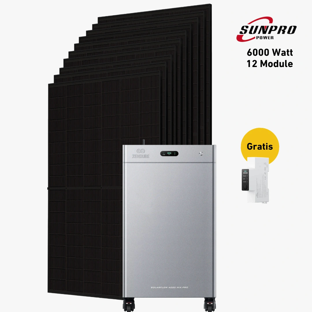 Max 6000 bifazial Pro (mit Zendure SolarFlow 4000 Mix Pro)