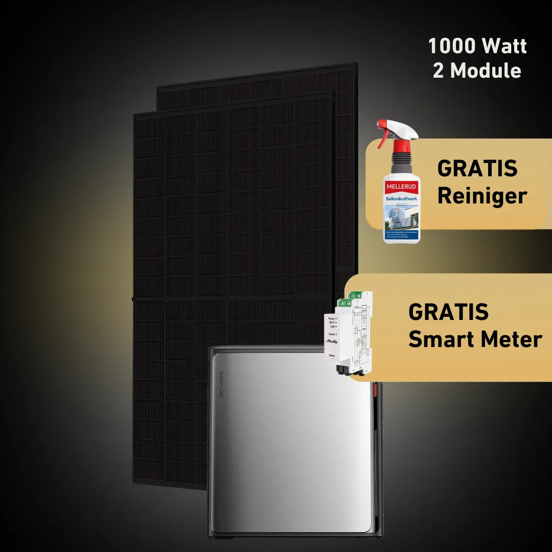 Max 1000 bifazial Pro (mit EcoFlow STREAM Ultra X)