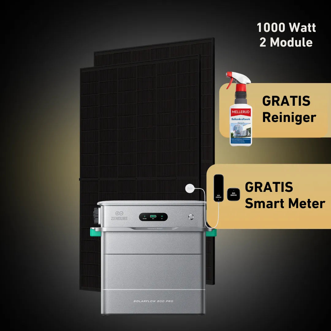 Max 1000 bifazial Pro (mit Zendure Solarflow 800 Pro)