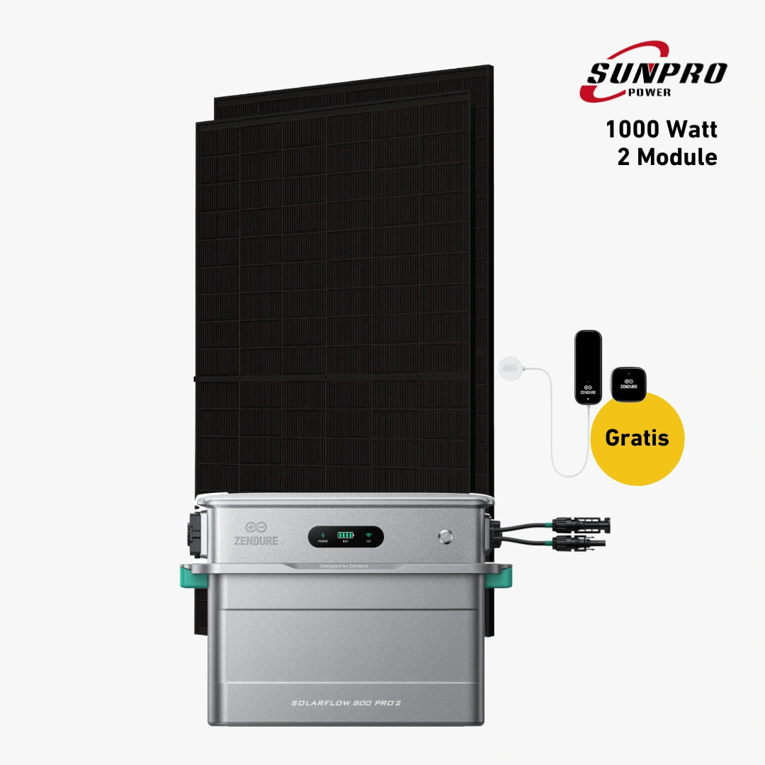 Max 1000 bifazial Pro (mit Zendure Solarflow 800 Pro 2)