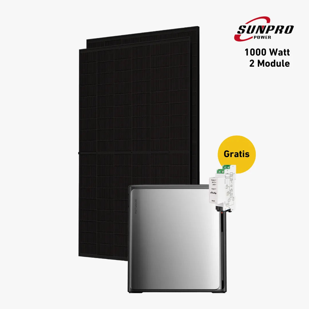 Max 1000 bifazial Pro (mit EcoFlow STREAM Ultra X)