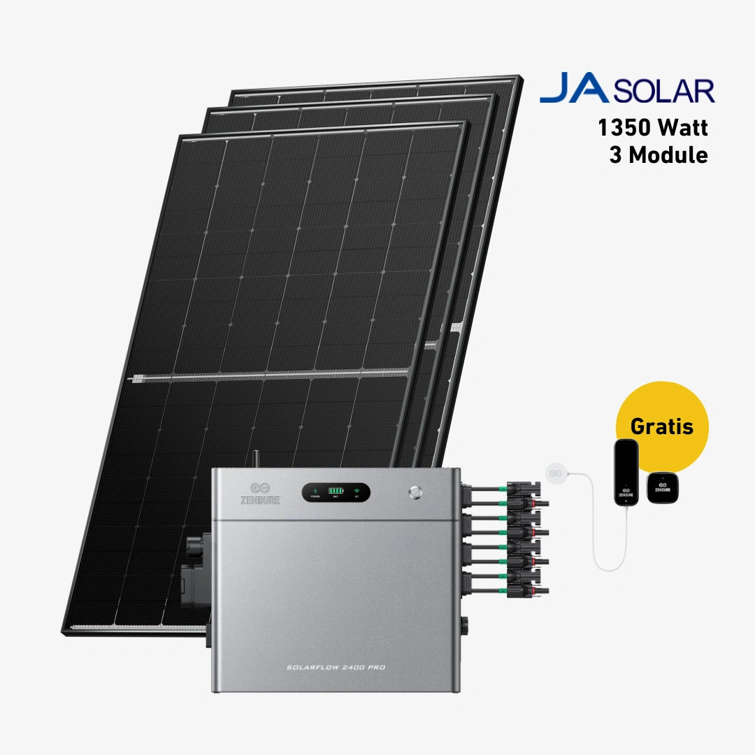 Basic 1350 bifazial Pro (mit Zendure Solarflow 2400 Pro)