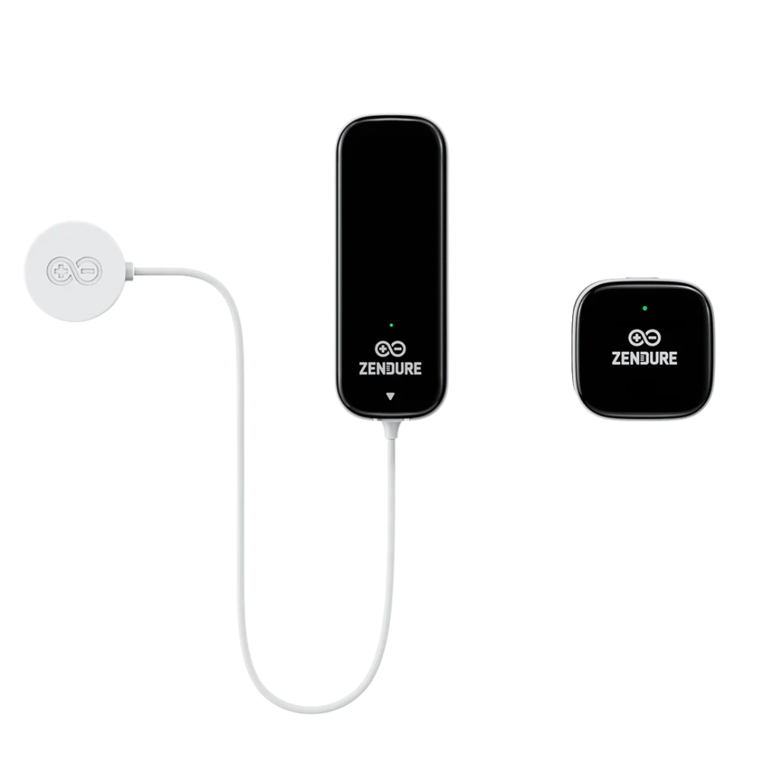 Zendure Smart Meter DO